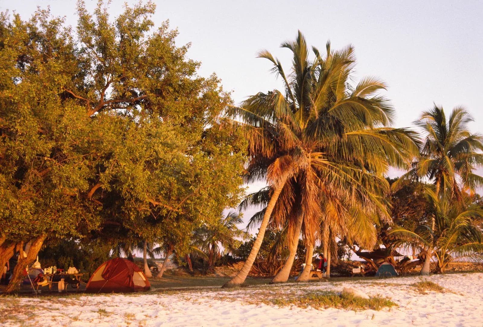 DRY TORTUGAS - May 2-5, 2014 & other Florida stuff