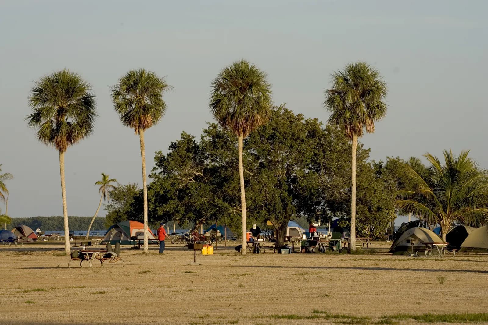 Flamingo Campground, NPSPhoto, Rodney Cammauf (1)