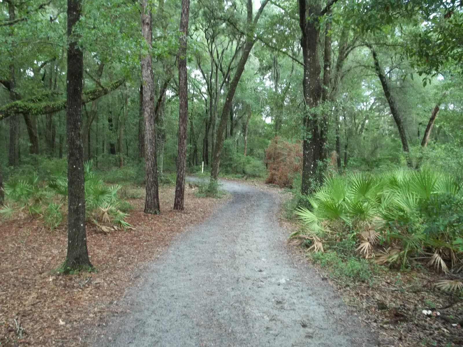 Ross Prairie State Forest: