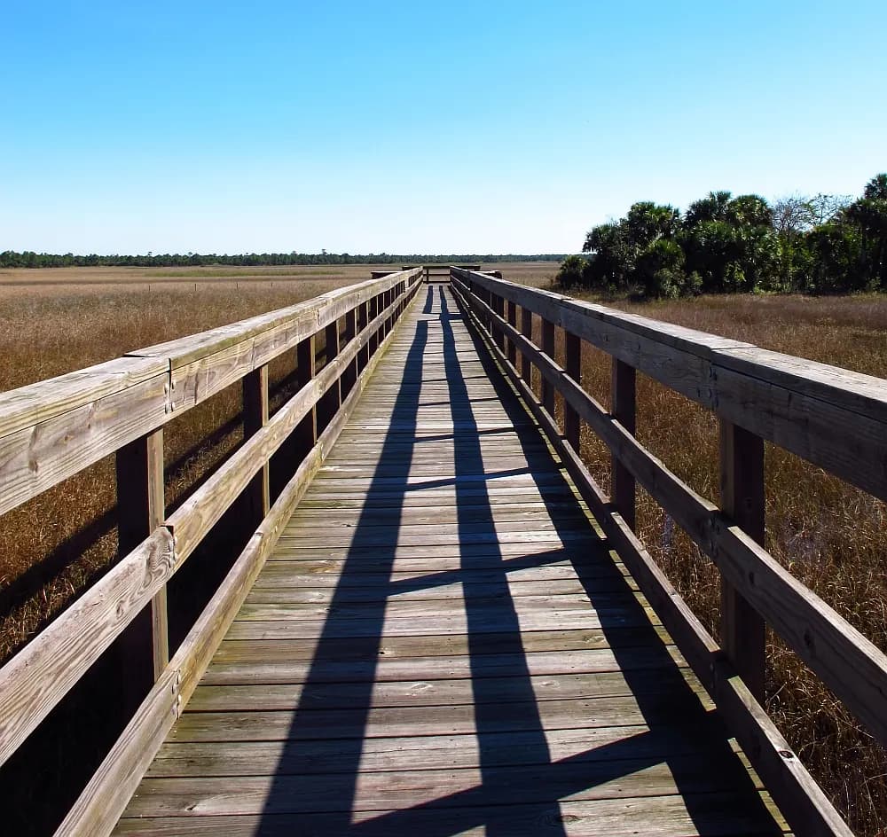 Viewing area - Okaloacoochee Slough State Forest, Florida, USA